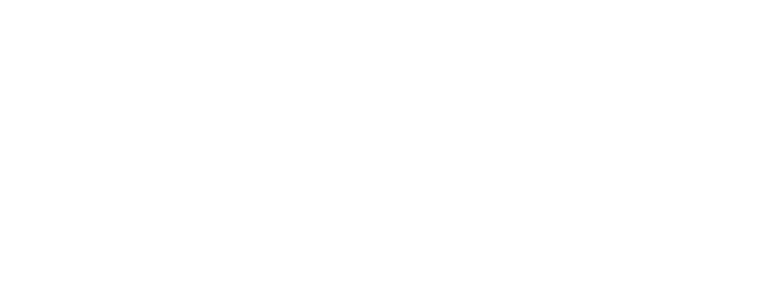 FitWorldLine Logo